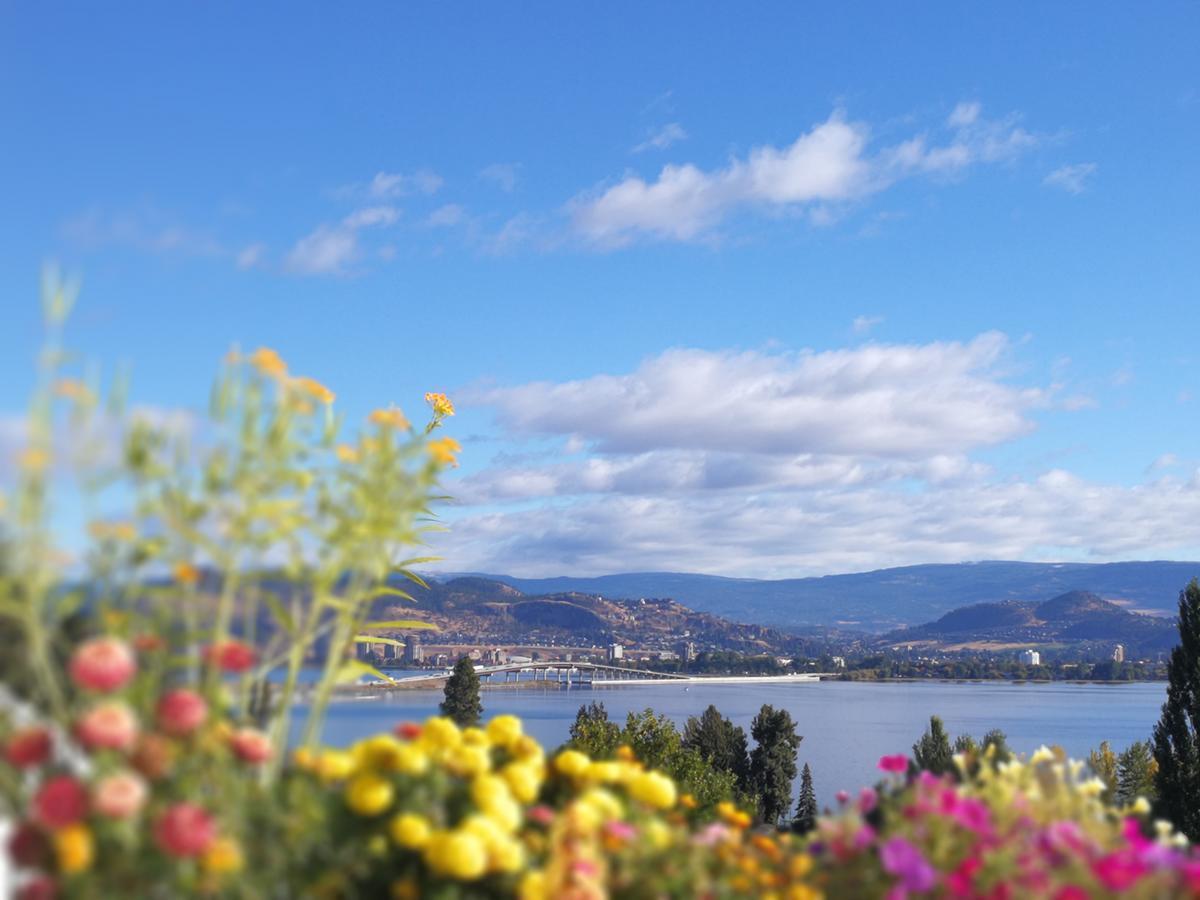Lakeview Oasis Bed And Breakfast West Kelowna Exterior foto